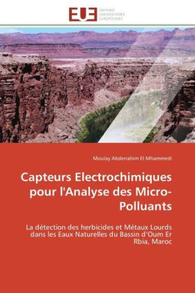 Capteurs Electrochimiques pour l'Analyse des Micro-Polluants