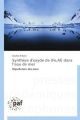 Synthèse d'oxyde de (Fe,Al) dans l eau de mer