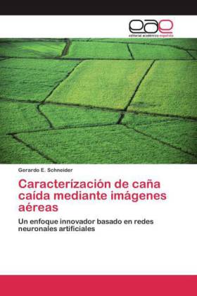 Caracterízación de caña caída mediante imágenes aéreas
