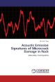 Acoustic Emission Signatures of Microcrack Damage in Rock