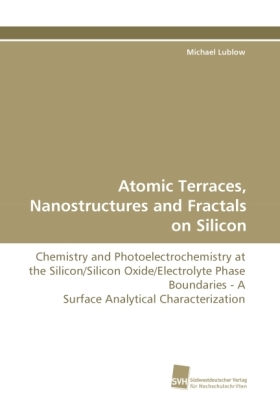 Atomic Terraces, Nanostructures and Fractals on Silicon