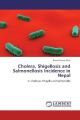 Cholera, Shigellosis and Salmonellosis Incidence in Nepal