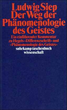 Der Weg der 'Phänomenologie des Geistes'