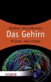 Das Gehirn