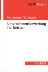 Unternehmensbewertung für Juristen