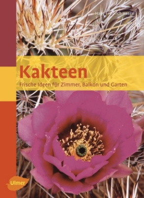 Kakteen