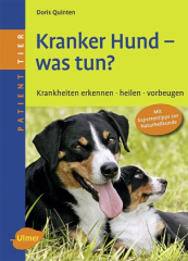 Kranker Hund - was tun?