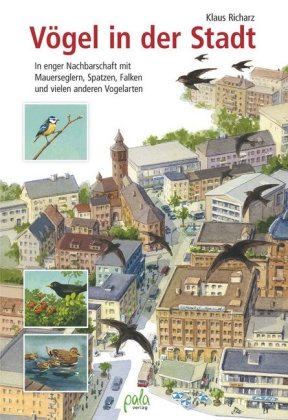 Vögel in der Stadt