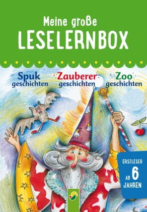 Meine große Leselernbox - Zoogeschichten, Zauberergeschichten, Spukgeschichten, 3 Bde.