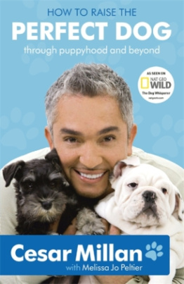 How To Raise The Perfect Dog. Cesar Millans Welpenschule, englische Ausgabe