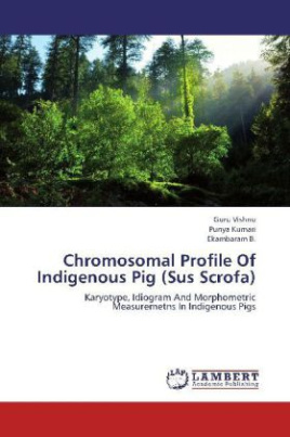 Chromosomal Profile Of Indigenous Pig (Sus Scrofa)