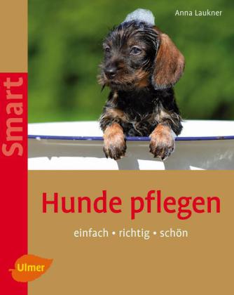 Hunde pflegen