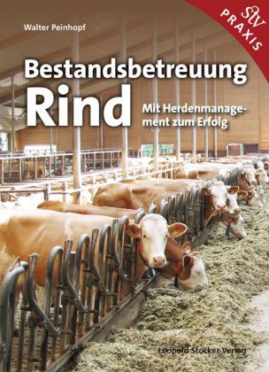 Bestandsbetreuung Rind