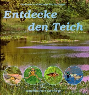 Entdecke den Teich