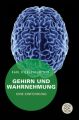 Gehirn und Wahrnehmung