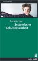 Systemische Schulsozialarbeit