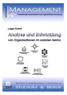 Analyse und Entwicklung von Organisationen im sozialen Sektor