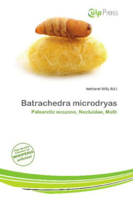 Batrachedra microdryas
