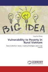 Vulnerability to Poverty in Rural Vietnam