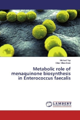 Metabolic role of menaquinone biosynthesis in Enterococcus faecalis