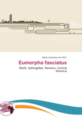 Eumorpha fasciatus