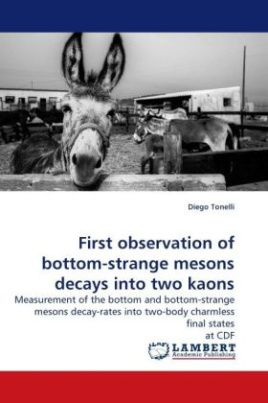 First observation of bottom-strange mesons decays into two kaons