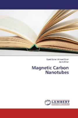 Magnetic Carbon Nanotubes