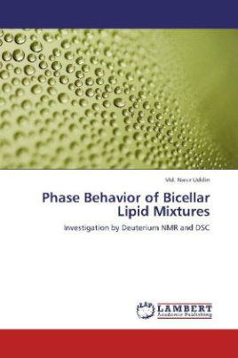 Phase Behavior of Bicellar Lipid Mixtures