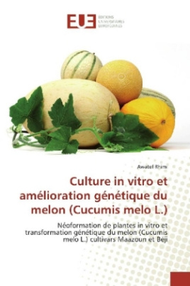 Culture in vitro et amélioration génétique du melon (Cucumis melo L.)