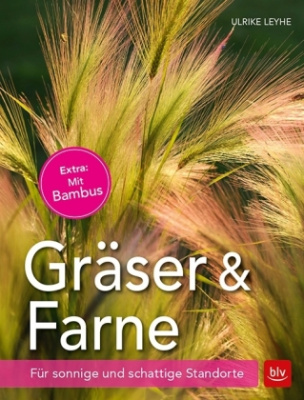 Gräser und Farne