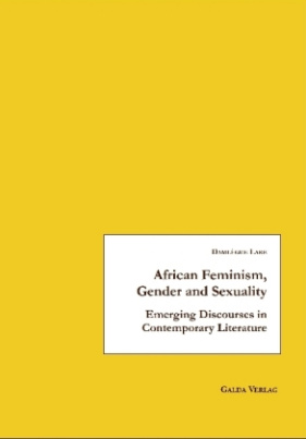 African Feminism, Gender and Sexuality
