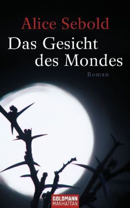 Das Gesicht des Mondes