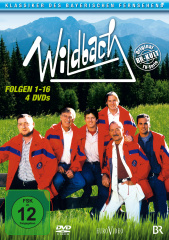 Wildbach 1 
