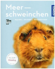 Meerschweinchen