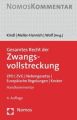 Gesamtes Recht der Zwangsvollstreckung