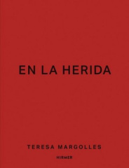 Teresa Margolles - En la herida