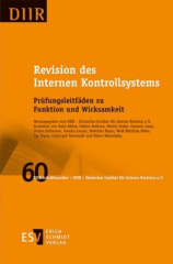 Revision des Internen Kontrollsystems