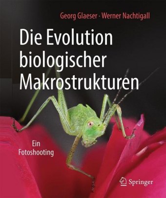 Die Evolution biologischer Makrostrukturen