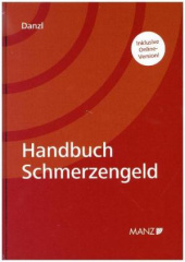 Handbuch Schmerzengeld