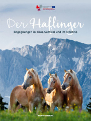 Der Haflinger