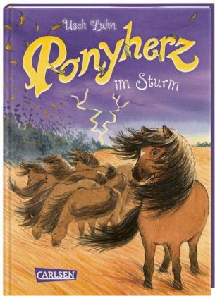 Ponyherz im Sturm