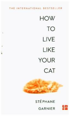 How To Live Like Your Cat