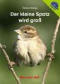 Der kleine Spatz wird groß