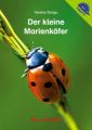 Der kleine Marienkäfer