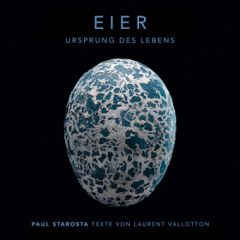 Eier - Ursprung des Lebens