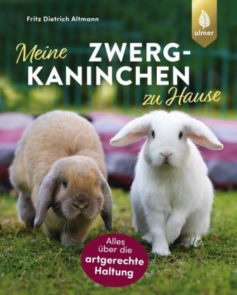 Meine Zwergkaninchen zu Hause