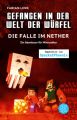 Gefangen in der Welt der Würfel. Die Falle im Nether