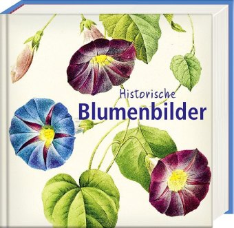 Historische Blumenbilder