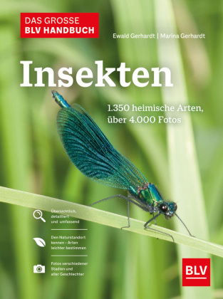 Das große BLV Handbuch Insekten