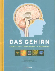 Das Gehirn